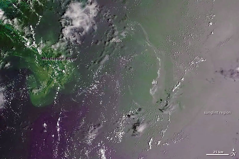 تصویر MODIS ماهواره Terra ناسا که در سال 2010 توانست لکه های نفتی خلیج مکزیک را ثبت و بارزسازی کند 